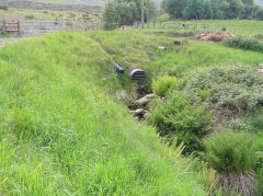 
Forgeside Level drainage channel, Blaenavon, June 2010